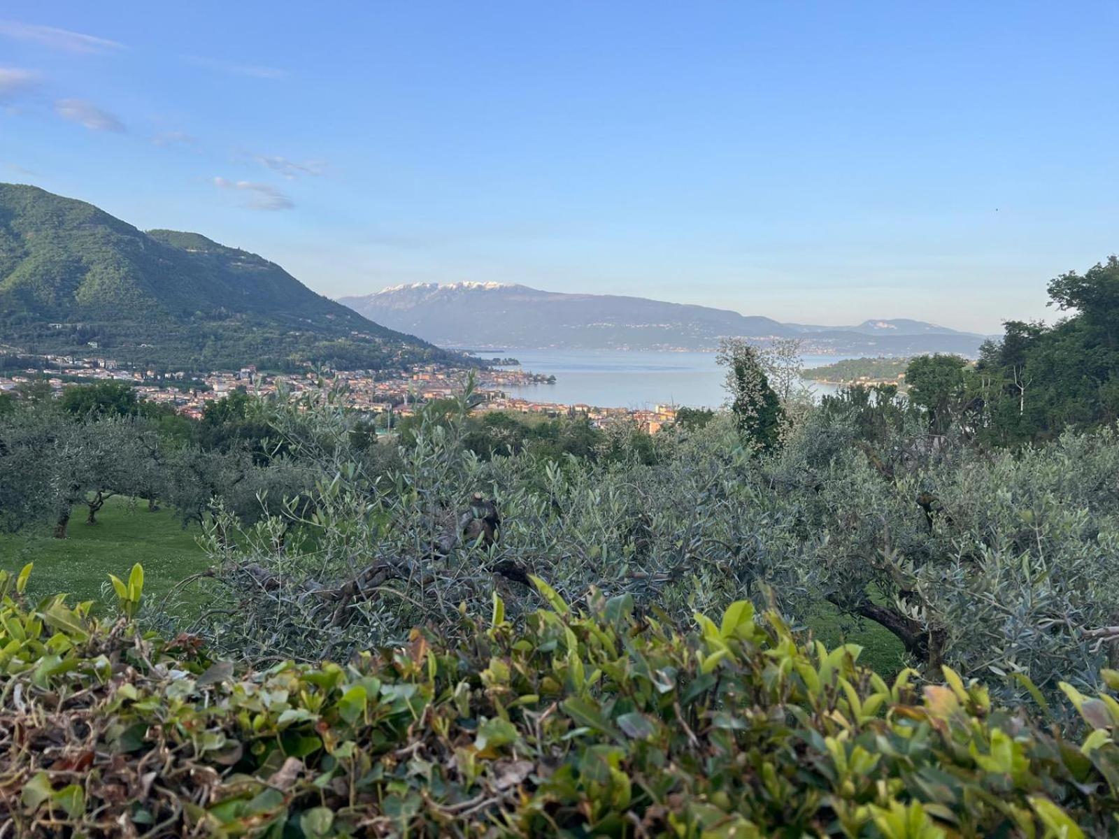 La Finestra Sul Garda Dreaming Holidays 산펠리체델바나코 외부 사진