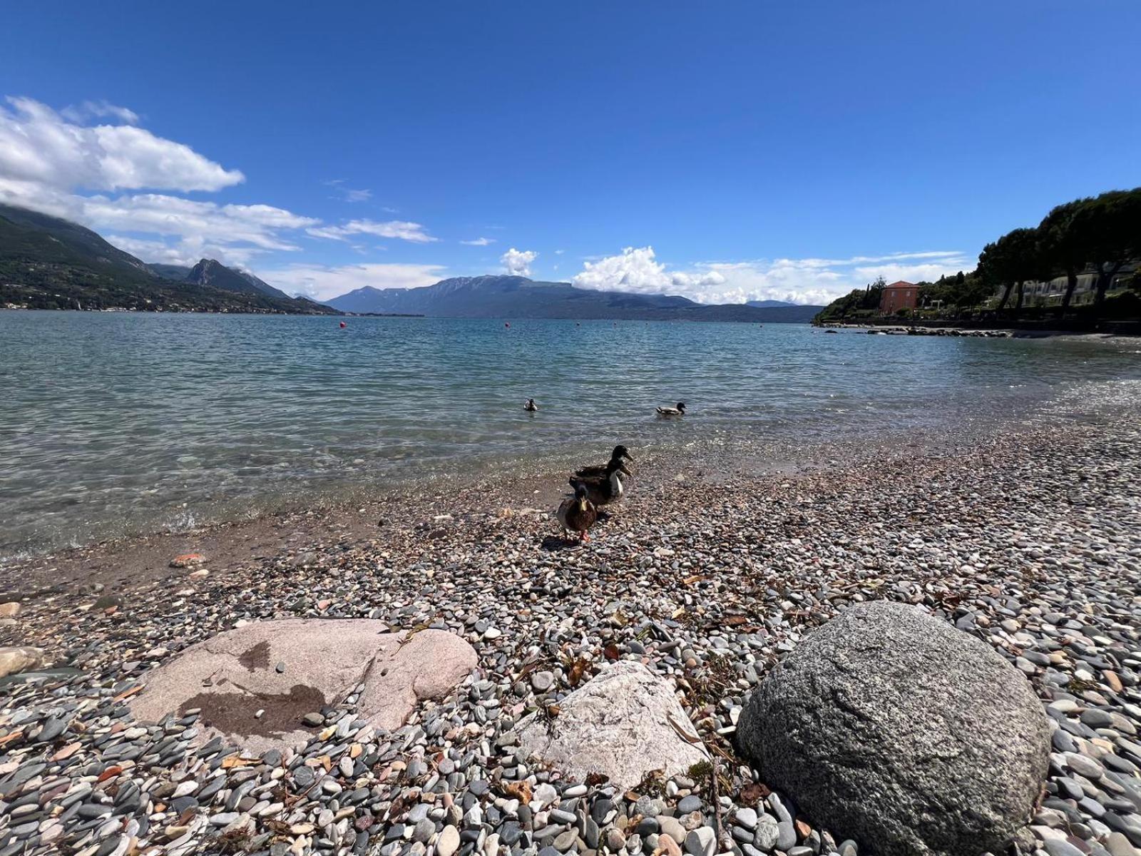 La Finestra Sul Garda Dreaming Holidays 산펠리체델바나코 외부 사진